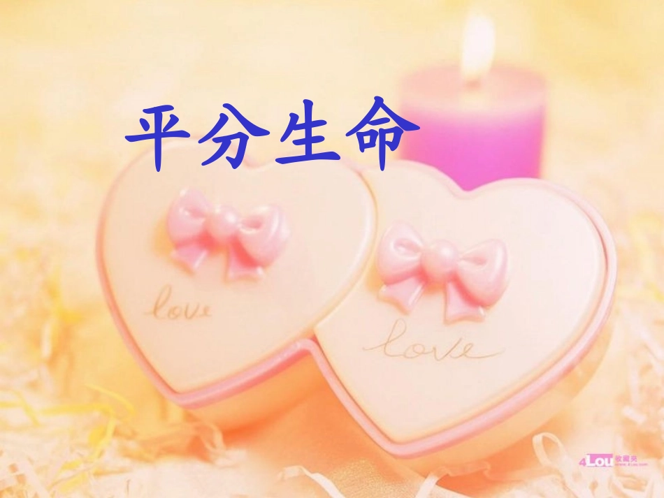 《平分生命_3》PPT课件_第2页
