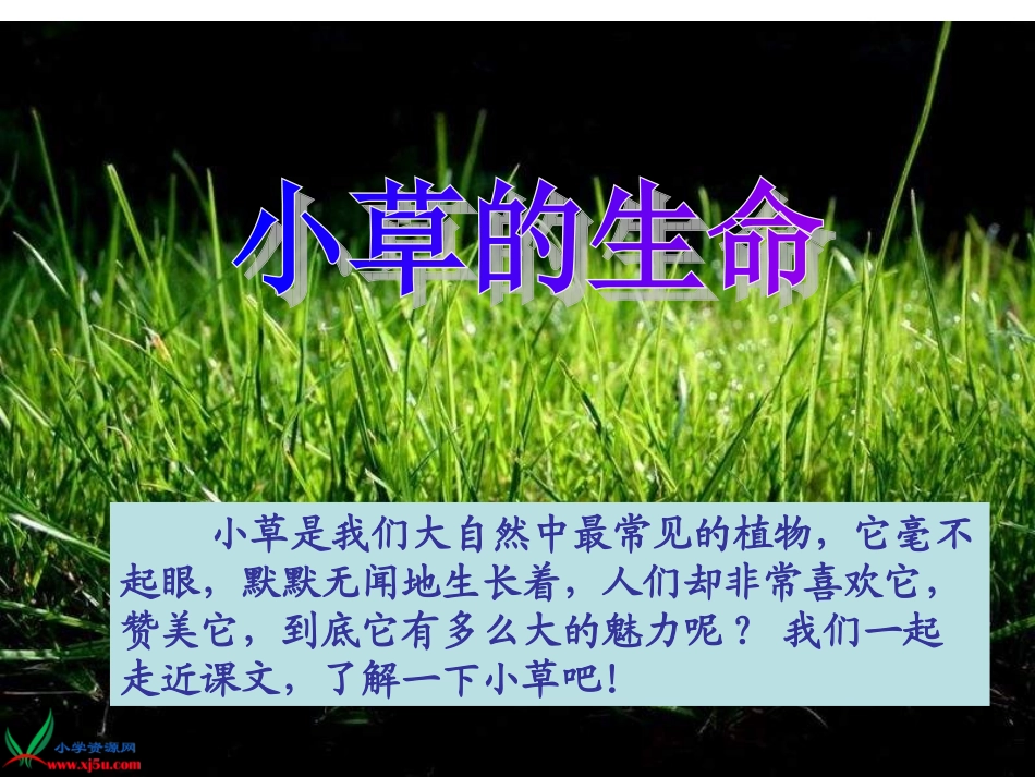《小草》PPT课件_第2页