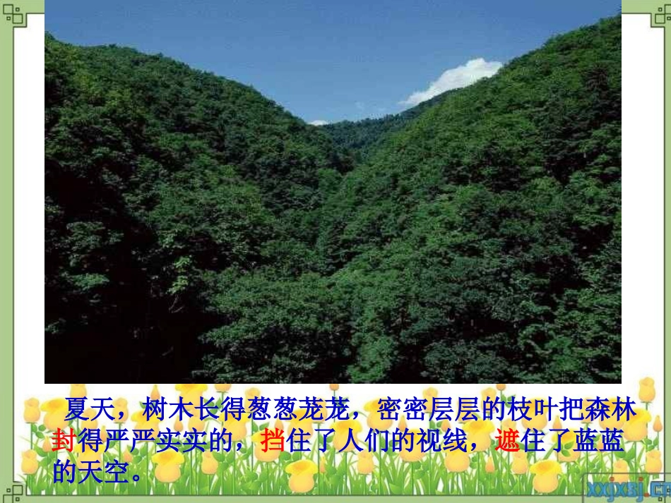 美丽的小兴安岭PPT_第3页