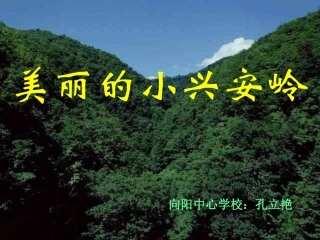 美丽的小兴安岭PPT