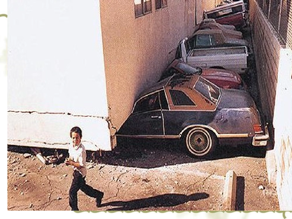 《地震中的父与子》PPT课件_第3页