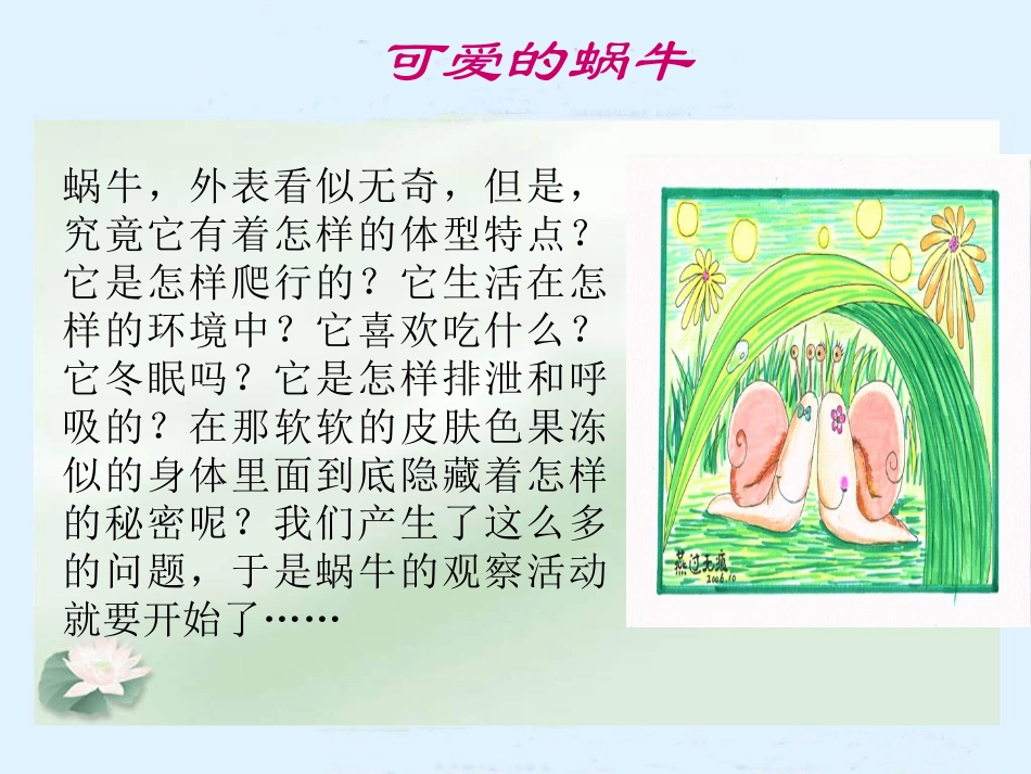 《蜗牛（一）》教学课件_第2页