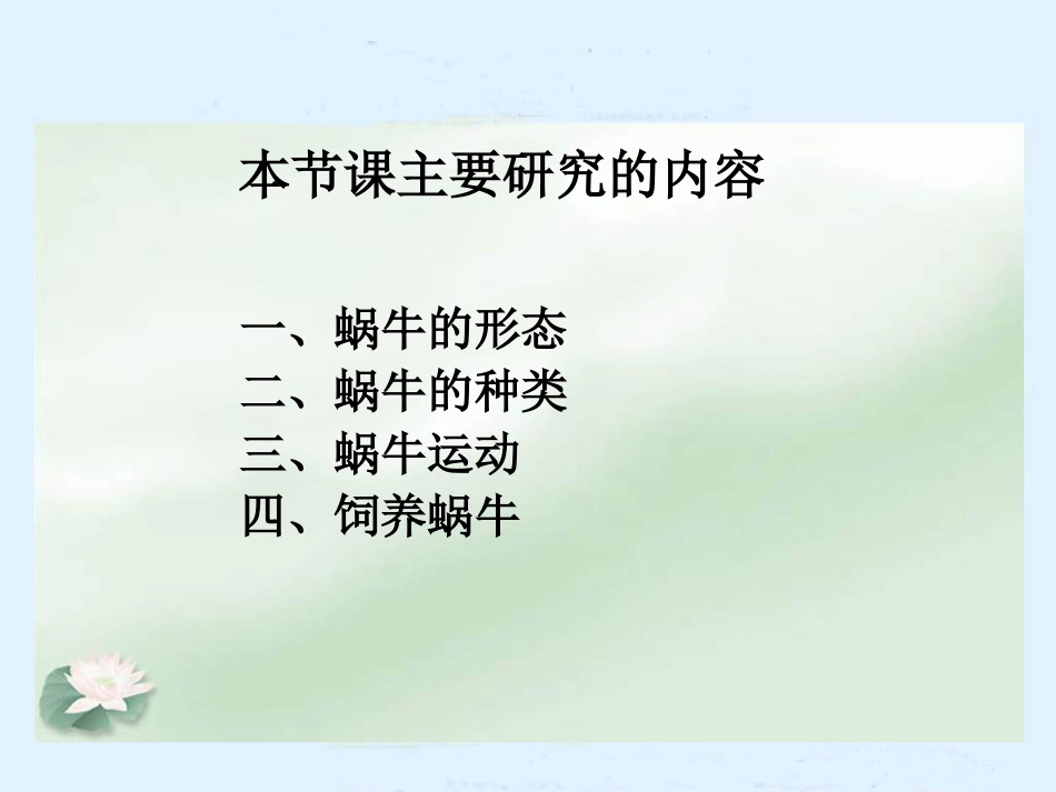 《蜗牛（一）》教学课件_第3页
