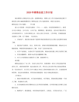 2020年销售总监工作计划