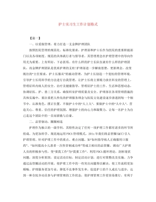 护士实习生工作计划格式