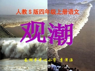 观潮 (2)