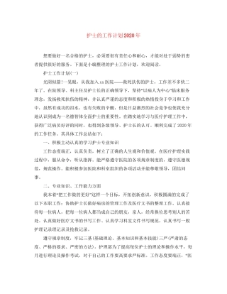 护士的工作计划年