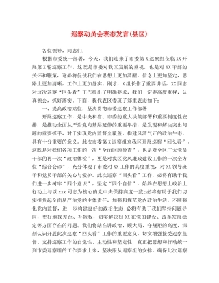 巡察动员会表态发言(县区) 