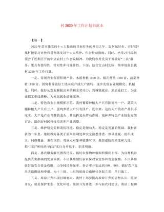 村年工作计划书范本