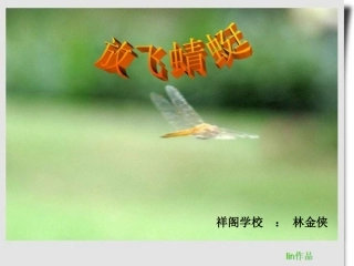 放飞蜻蜓小组合作课课件