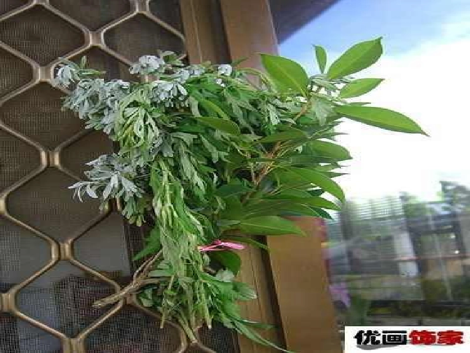 《端午日》PPT课件_第3页