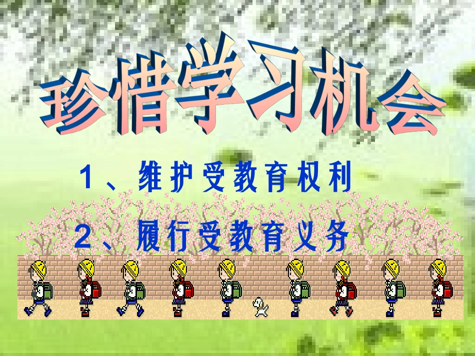 八年级下册第六课珍惜学习机会课件_第3页