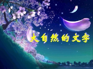 《大自然的文字》课件