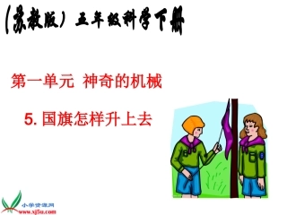 国旗怎样升上去 (2)