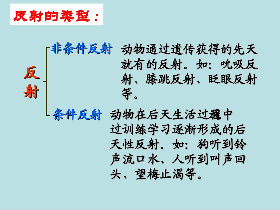 4490kj_通过神经系统的调节__第3页
