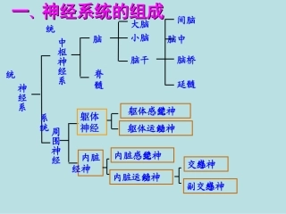 4490kj_通过神经系统的调节_