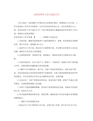 业务员明年工作计划怎么写