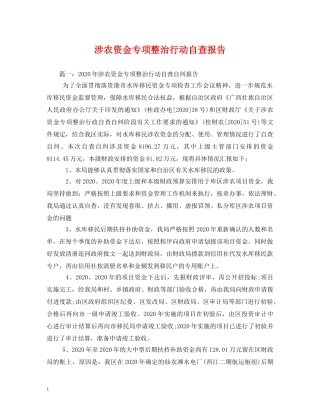 涉农资金专项整治行动自查报告 