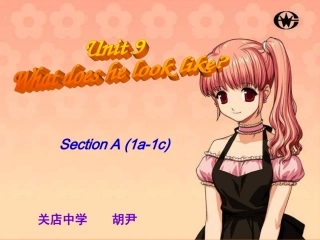 新人教版七年级英语下册unit9What_does_he_look_like第一课时