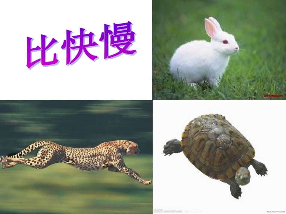 《路程、速度与时间》教学课件_第2页