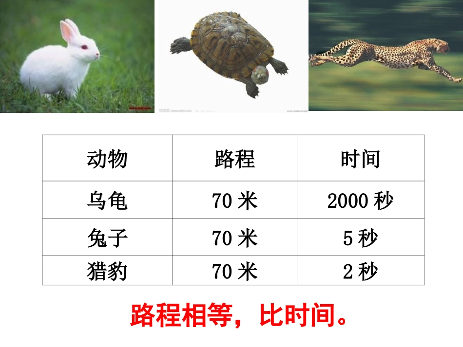 《路程、速度与时间》教学课件_第3页