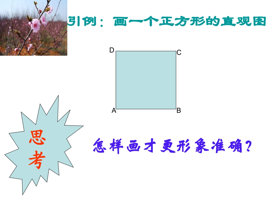直观图的画法_第2页