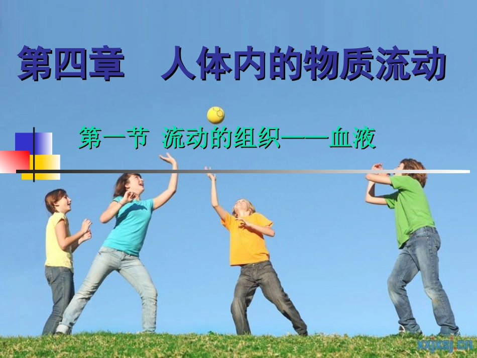 流动的组织——血液_第1页