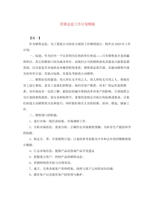 营销总监工作计划模板