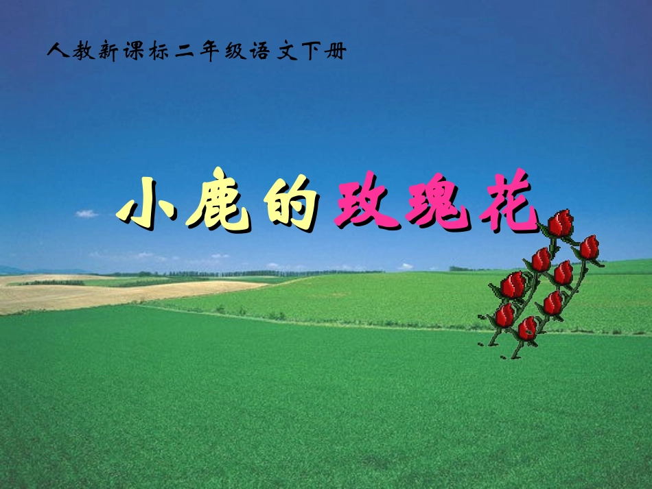 《小鹿的玫瑰花》教学课件2_第1页