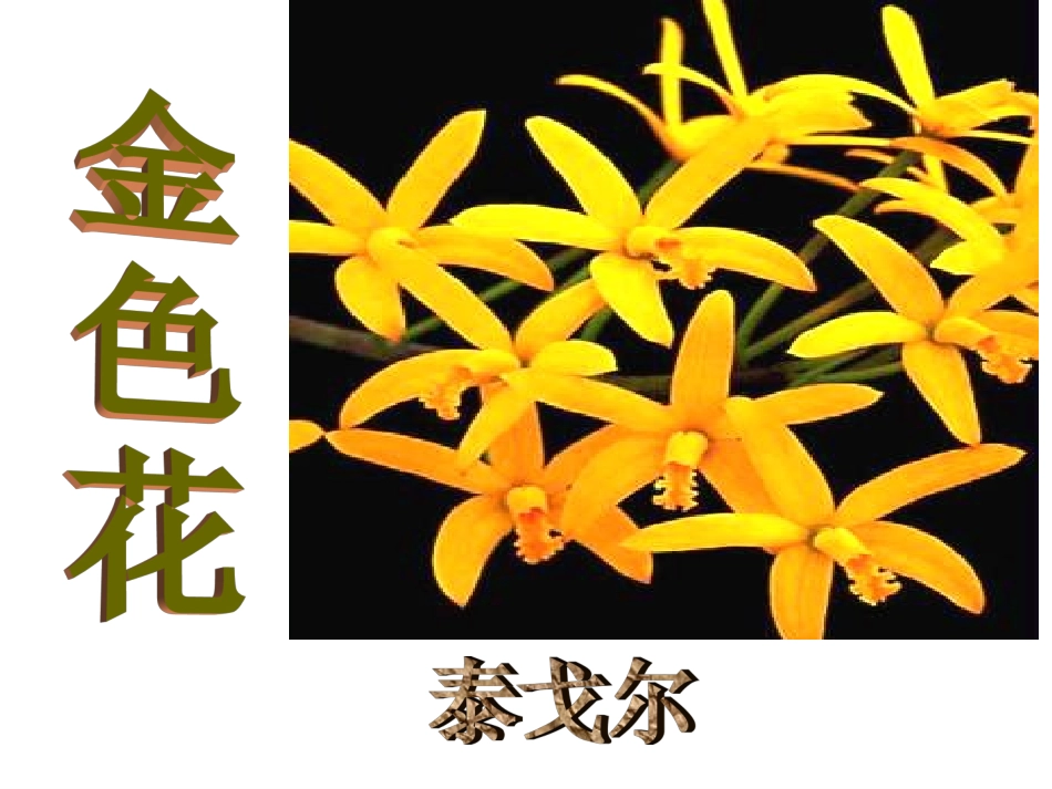 《散文诗两首》课件_第2页