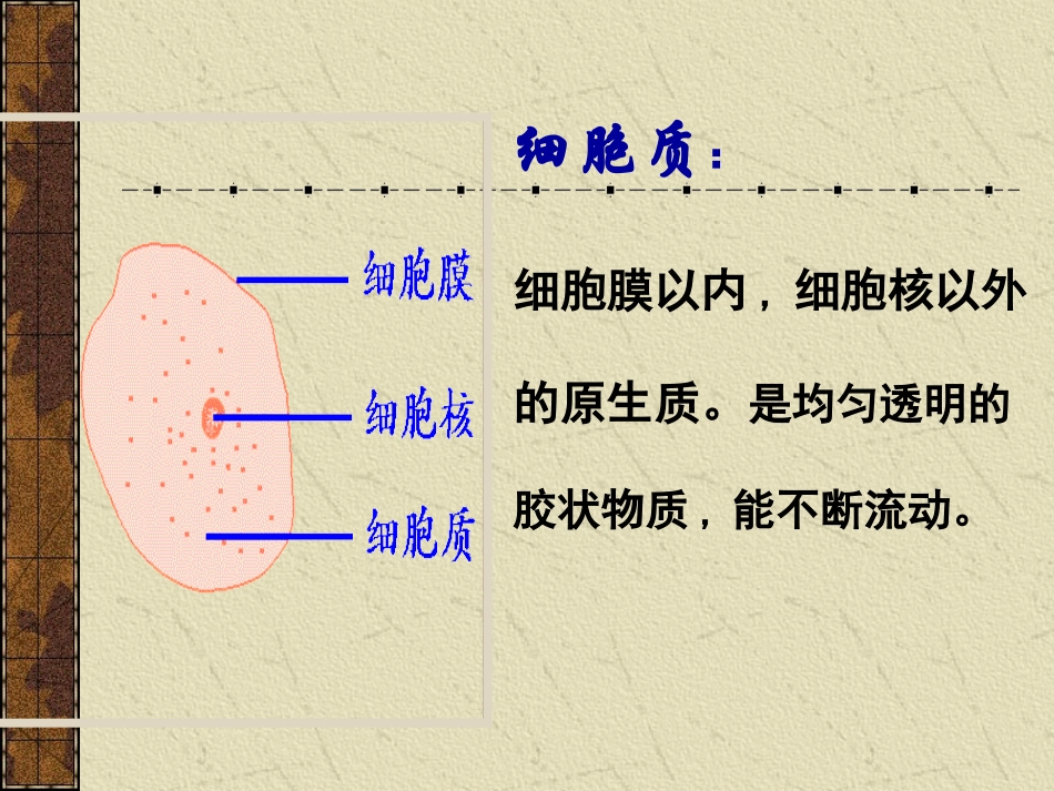 细胞器——系统内的分工合作_第2页