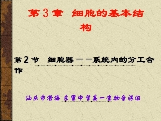 细胞器——系统内的分工合作