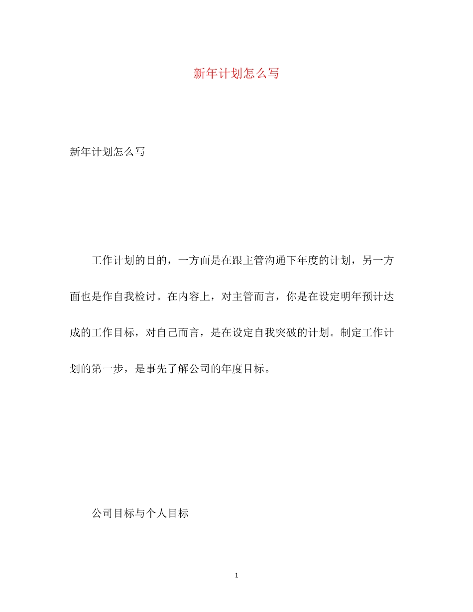 新年计划怎么写_第1页
