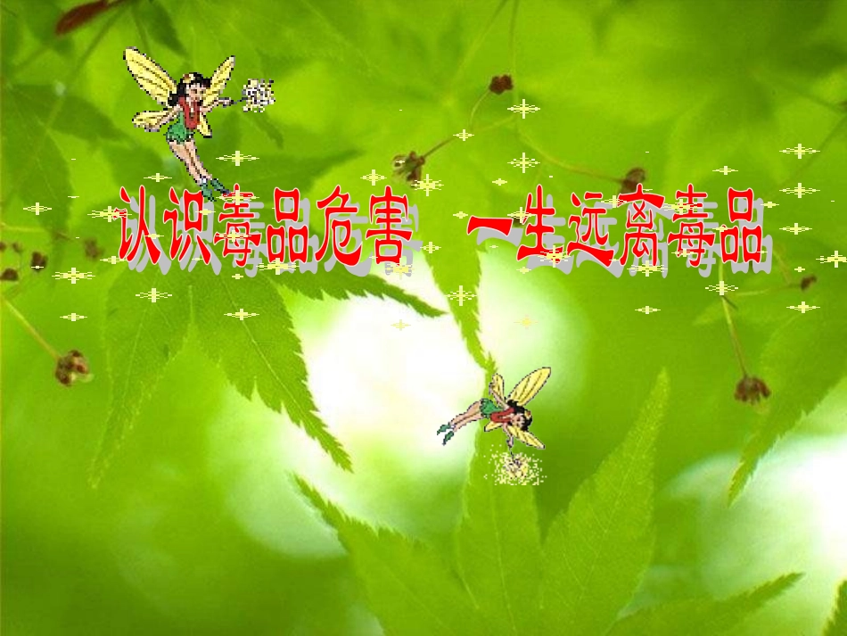 《认识毒品危害》_第1页