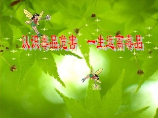 《认识毒品危害》