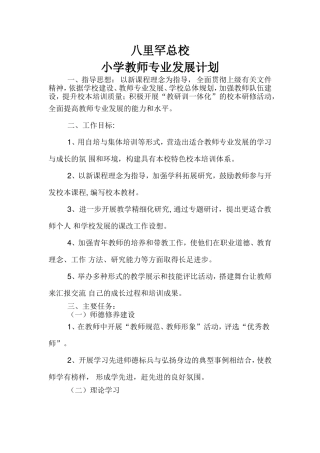 八里罕总校小学教师专业发展计划
