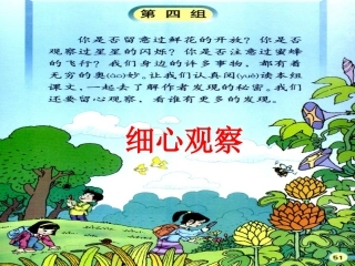 《花钟》第一课时课件