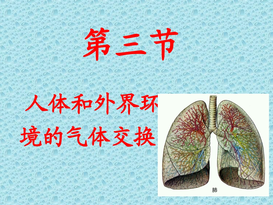 人体与外界气体的交换_第1页