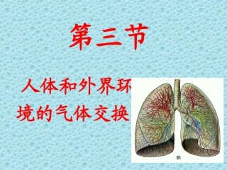 人体与外界气体的交换
