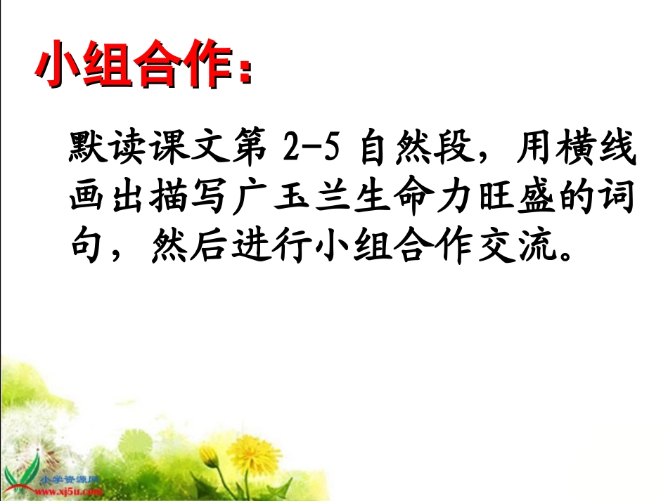 《广玉兰》第二课时_第2页