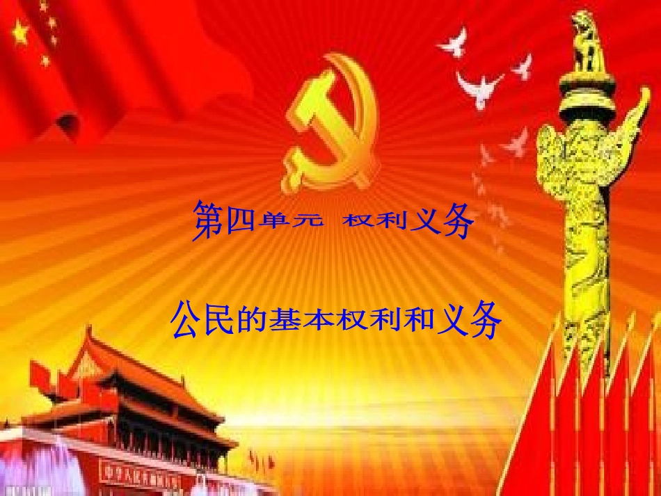 权利和义务+专题复习课件_第1页