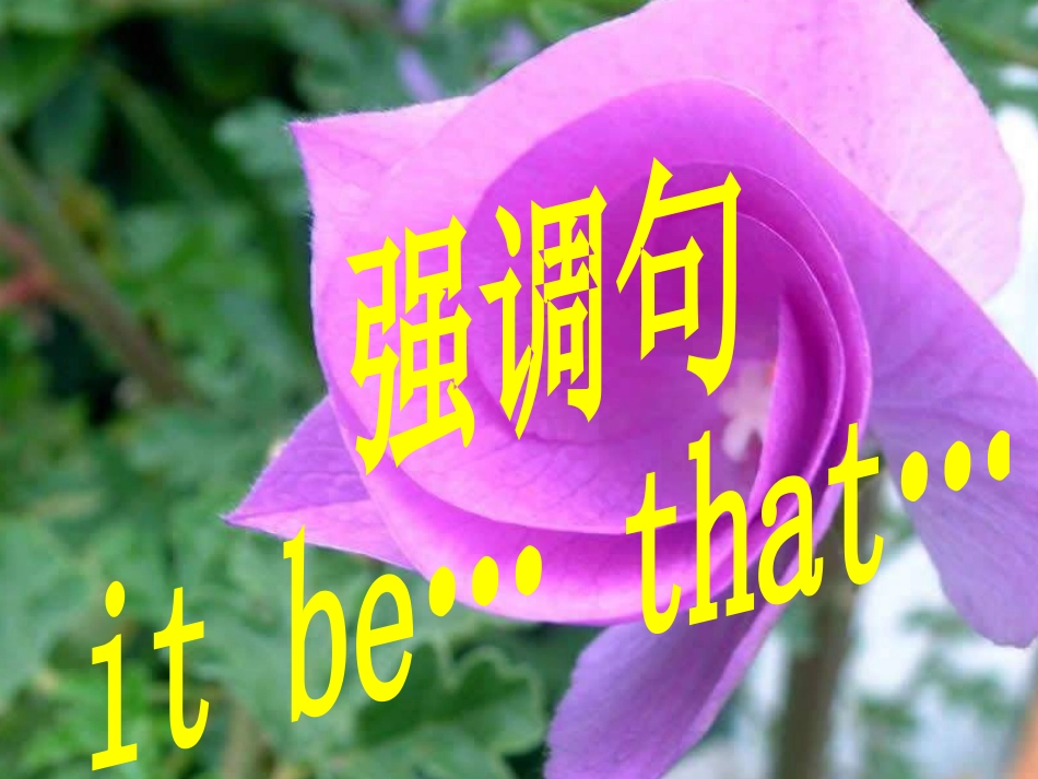 it_is_that句型_完整版_第1页