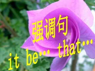 it_is_that句型_完整版