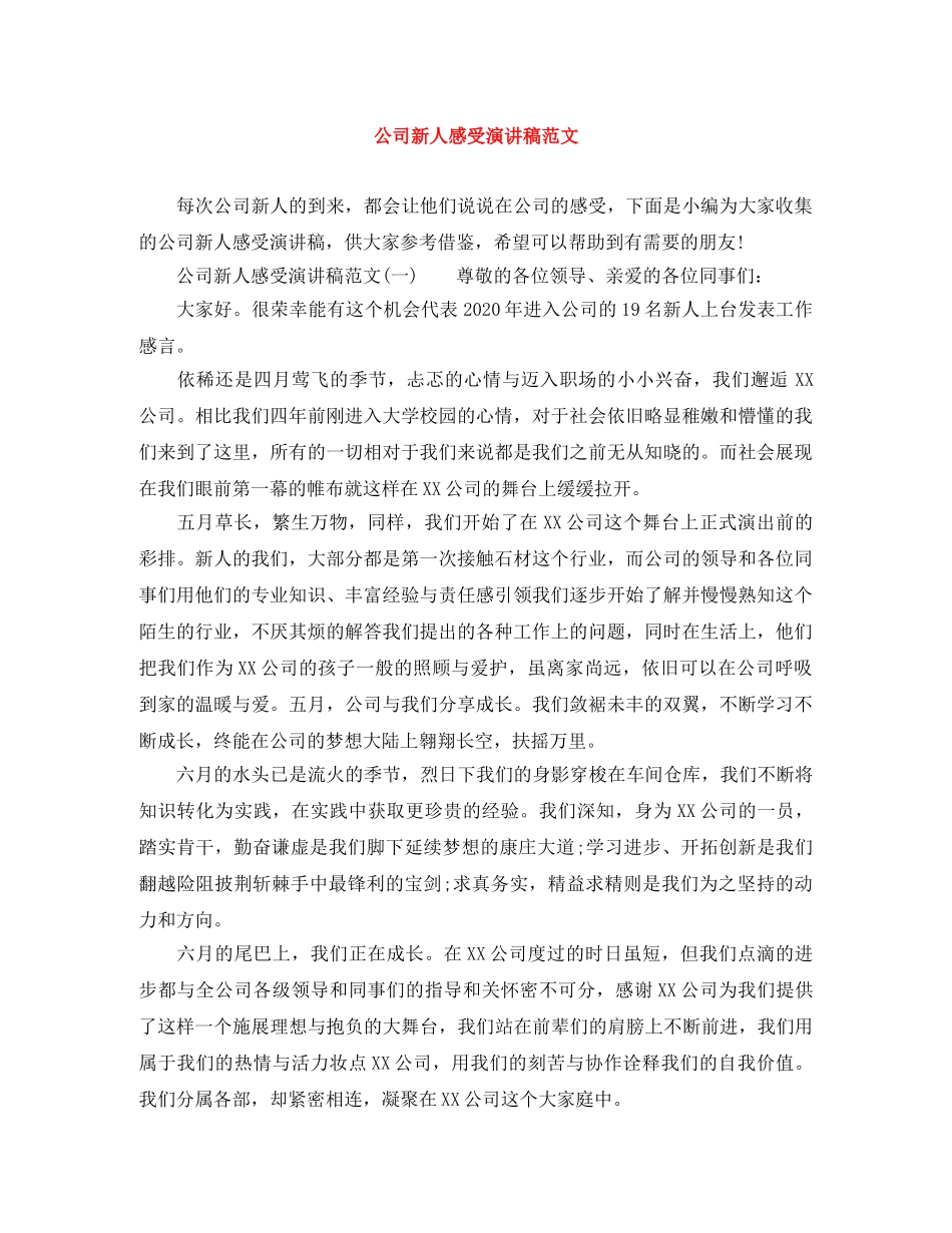 公司新人感受演讲稿范文 _第1页