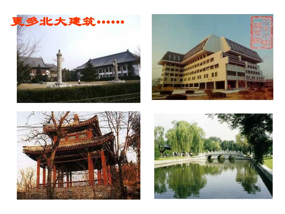 《十三岁的机遇》_第3页