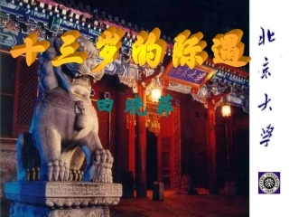 《十三岁的机遇》
