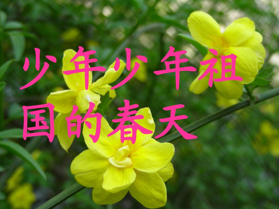 《少年少年祖国的春天》课件_第1页