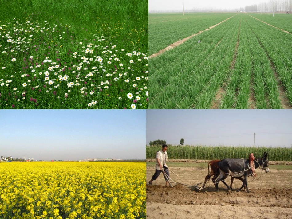 《少年少年祖国的春天》课件_第3页