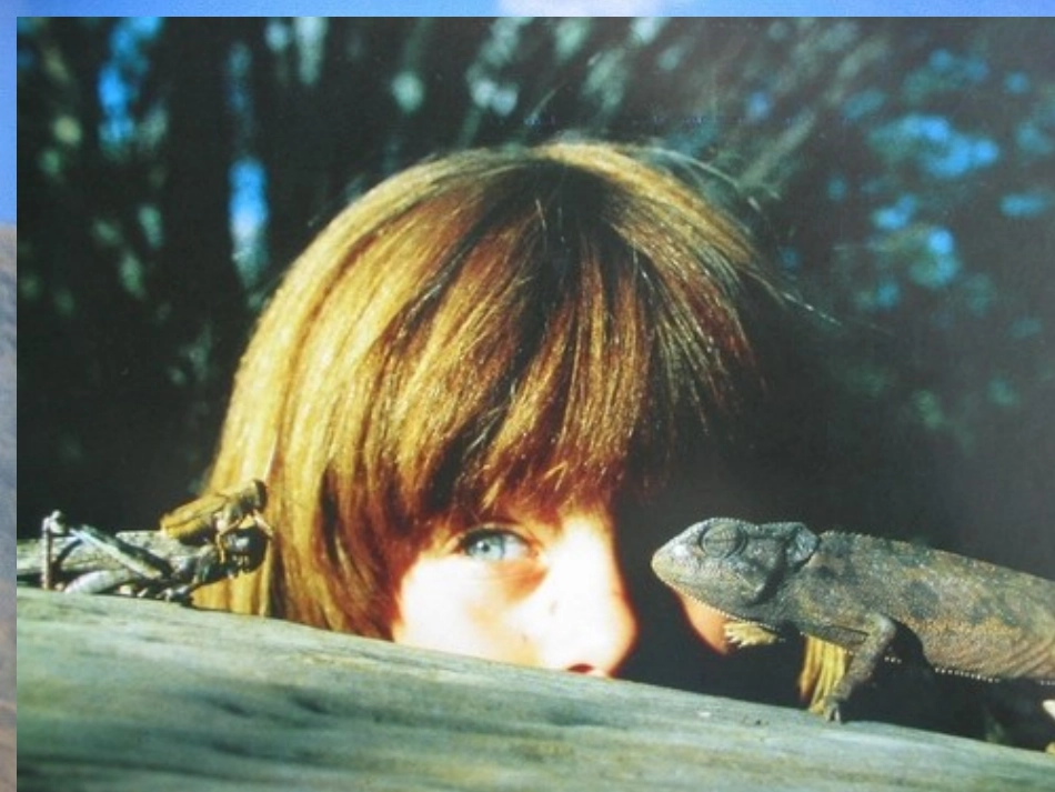 人教版二年级上册识字七1_第3页