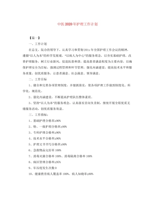 中医年护理工作计划
